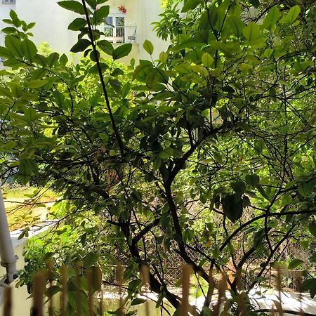 Athens Nice N Easy Apartment 외부 사진