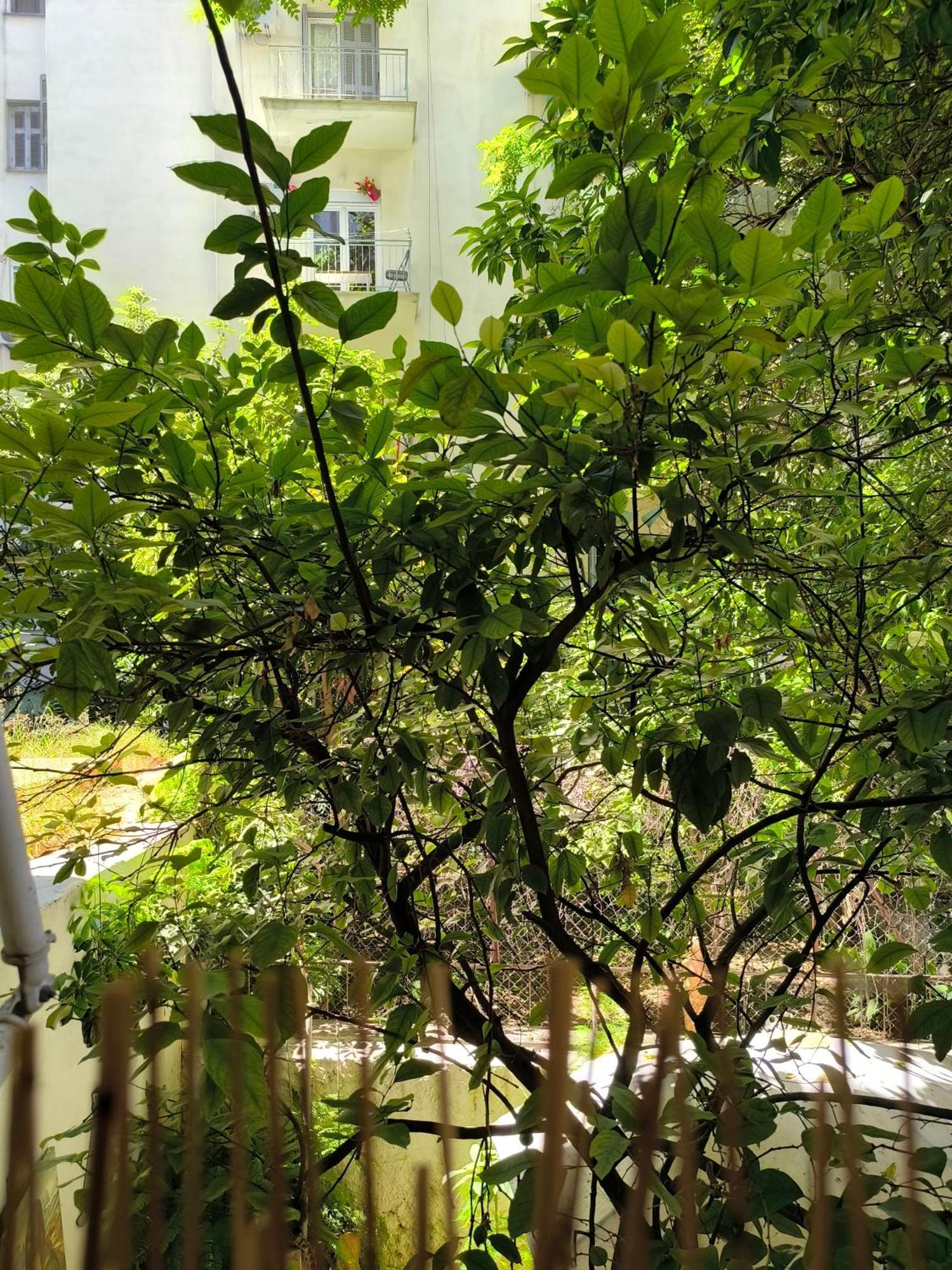 Athens Nice N Easy Apartment 외부 사진